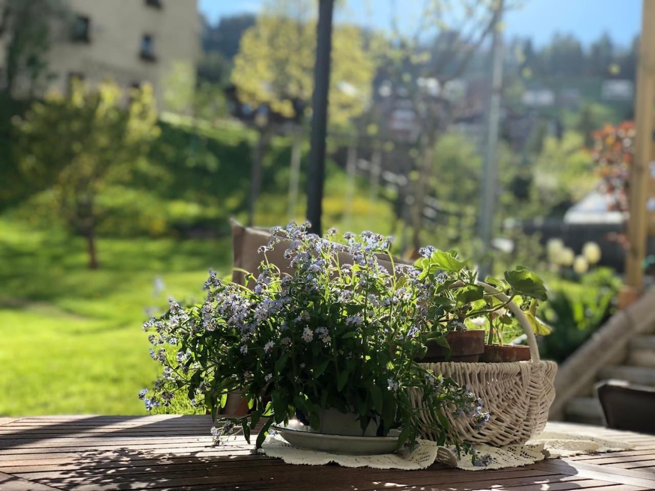 Dolomites Charme Chalet Colle Santa Lucia Zewnętrze zdjęcie